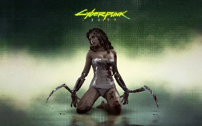 Cyberpunk 2077 (для российского Steam аккаунта)