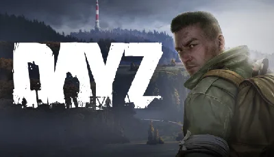 Dayz (Steam RU) + Presents
