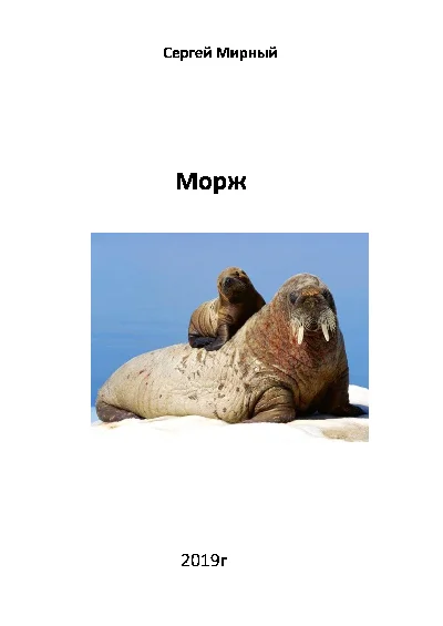 Walrus