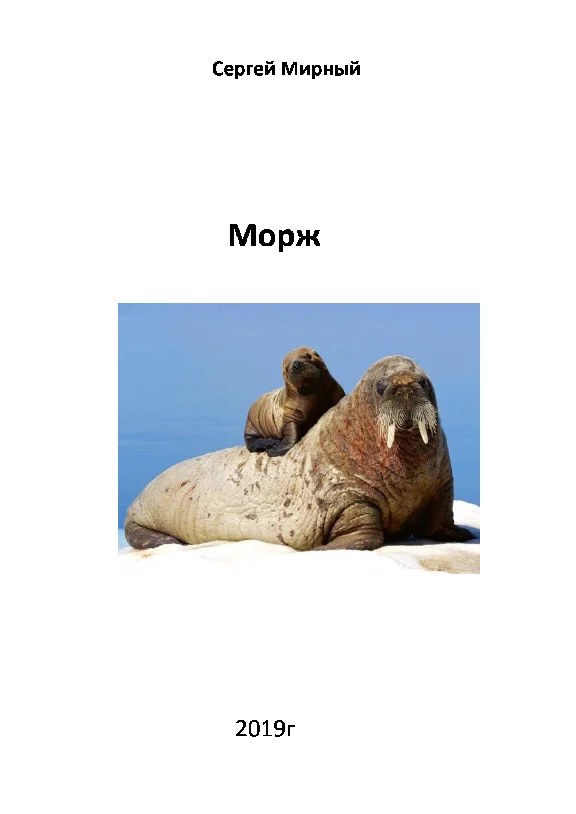 Walrus