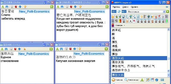 Новый кит-рус политико-экономический словарь Lingvo x3