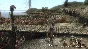 Mount BladeWarband Viking Conquest DLC Steam