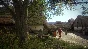 Kingdom Come: Deliverance (Steam Key/Region Free)