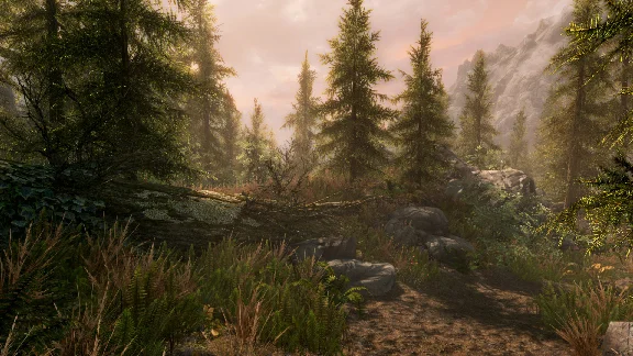 The Elder Scrolls V Skyrim Special Edition Steam @ RU