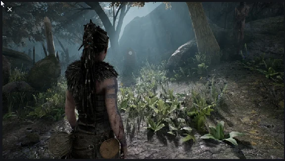 Hellblade Senuas Sacrifice XBOX ONE & Series X|S Key 🔑