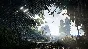 Crysis 3 (Origin) (Promo Code + Warranty)