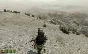 Arma 2 Steam Key Region Free / RoW / Global