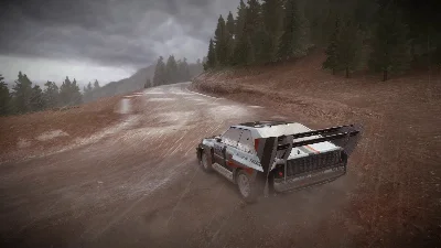 DiRT Rally STEAM( Стим ключ REGION FREE )