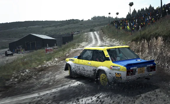 DiRT Rally STEAM( Стим ключ REGION FREE )