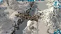 Ice Lakes (Steam Key/RU+CIS)