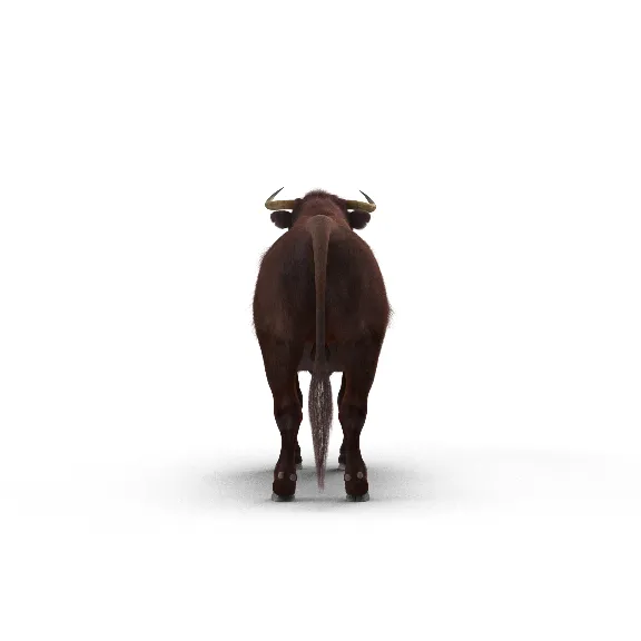 Bull Rigged with Fur