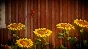 Unravel (ENG) (Origin) (Reg Free | Warranty)
