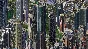 SimCity 4 Deluxe Edition (Origin) (Warranty)