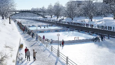 NHL 20 🎮 XBOX ⚡️Auto 24/7