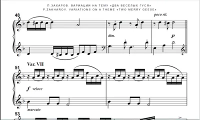 8с04 Вариации на тему "Два весёлых гуся", П.ЗАХАРОВ