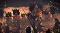 Total War: Rome II - Emperor Edition 🔑STEAM KEY 🚀FAST