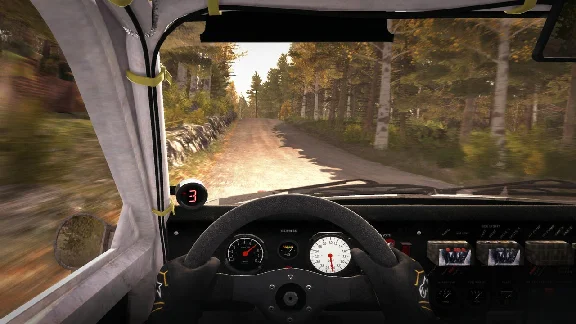 DiRT Rally >>> STEAM KEY | REGION FREE