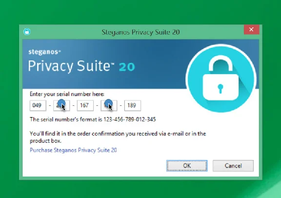 Steganos Privacy Suite 20 (perpetual license)