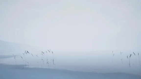 Storm VR (STEAM KEY/REGION FREE)
