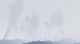 Storm VR (STEAM KEY/REGION FREE)