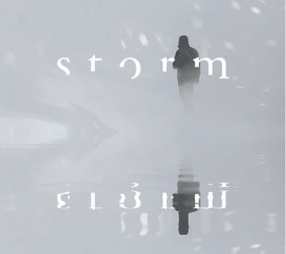 Storm VR (STEAM KEY/REGION FREE)