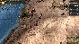 Europa Universalis IV: Digital Extreme Ed. Upgrade Pack