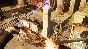 Dishonored 2 >>> STEAM KEY | RU-CIS