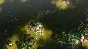 Patrician IV (steam key)
