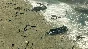 Sudden Strike 4 Complete Collection (steam key)