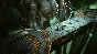 Warhammer: Chaosbane Deluxe Edition | Steam Russia