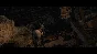 Total War: ATTILA | Steam Russia