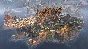 Apex Legends - Lifeline Edition (Origin) -- Reg free