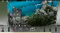Biotope (Steam key) -- RU