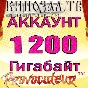 АККАУНТ KINOZAL.TV ( КИНОЗАЛ.ТВ ) 1,2 Тб