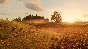 Red Dead Redemption 2 (Rockstar key) - Global