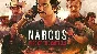 Narcos: Rise of the Cartels (steam key RU)