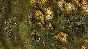 Knights and Merchants >>> STEAM KEY | REGION FREE
