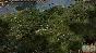 Europa Universalis IV >>> STEAM KEY | RU-CIS