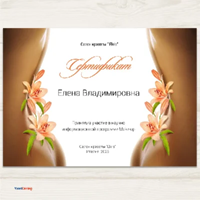 Certificate Template No. 27