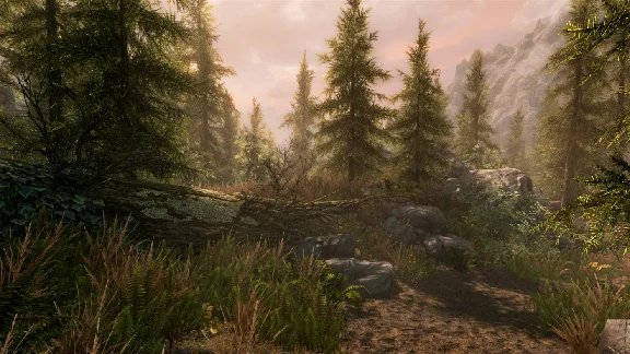 ✅ The Elder Scrolls V: Skyrim Special Edition XBOX 🔑