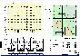 Course AP №2. The nine two-section residential building