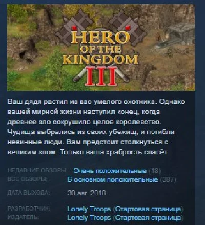 Hero of the Kingdom 3 III STEAM KEY REGION FREE GLOBAL