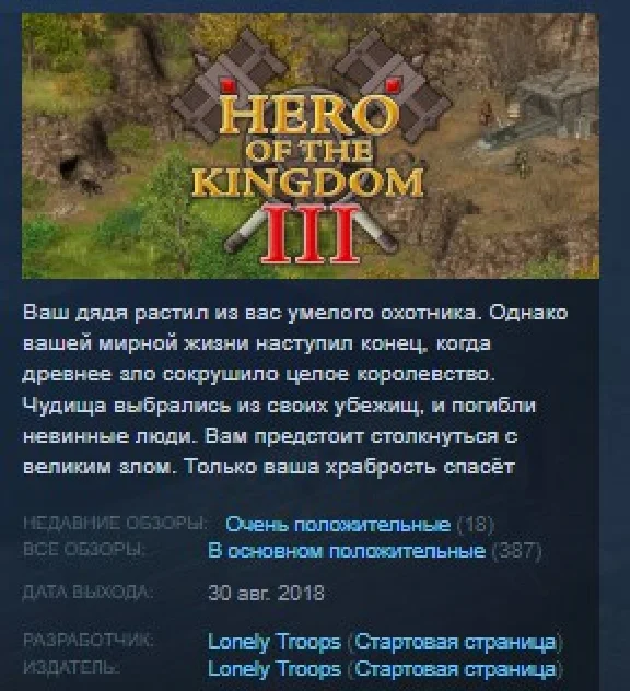 Hero of the Kingdom 3 III STEAM KEY REGION FREE GLOBAL