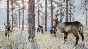 Planet Zoo: Arctic Pack * RU/KZ/CIS/TR/AR * DLC * STEAM
