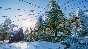 Planet Zoo: Arctic Pack * RU/KZ/CIS/TR/AR * DLC * STEAM