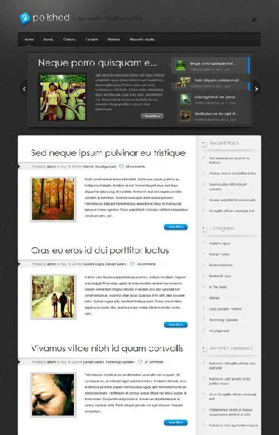 Premium Wordpress theme by ElegantThemes
