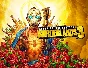Borderlands 3 Super Deluxe Edition (epic key)