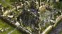 Stronghold Legends: Steam Edition >> STEAM KEY | GLOBAL