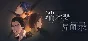 The Adventures of Fei Duanmu Steam Key (Region Free)