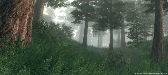 z The Elder Scrolls IV 4 Oblivion GOTY(Steam)RegionFree
